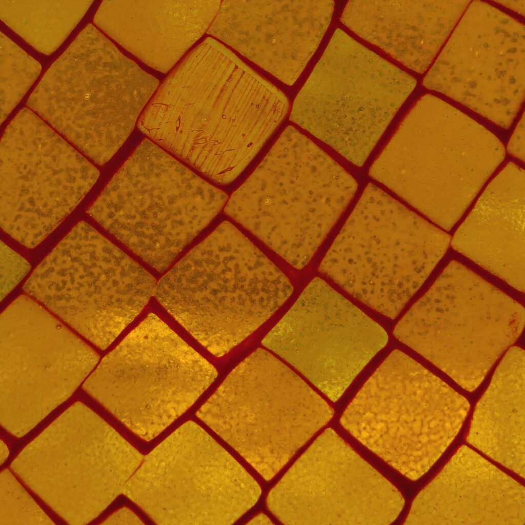 farbiges Schmelzglasfenster in Mosaiktechnik in Indien Detail